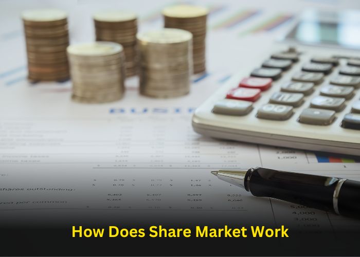 How Does Share Market Work