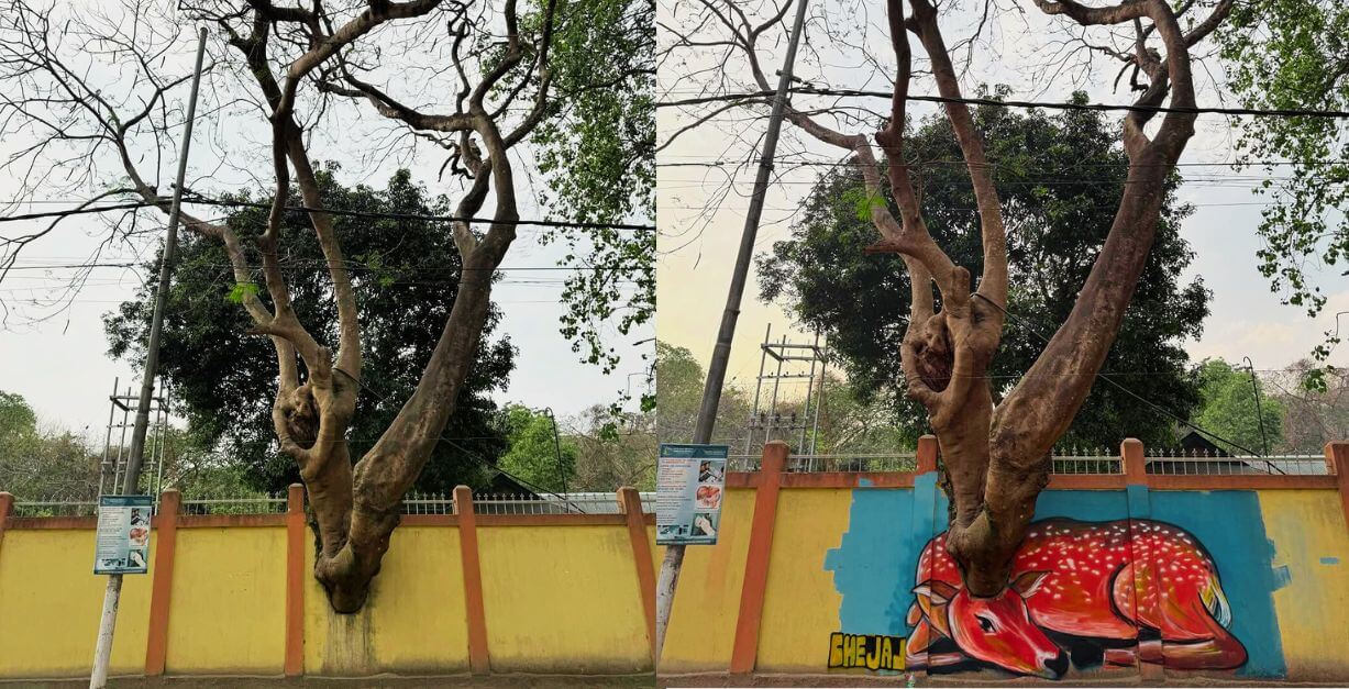 Colorful deer mural by Bhejal with tree branches as antlers in Guwahati, Assam